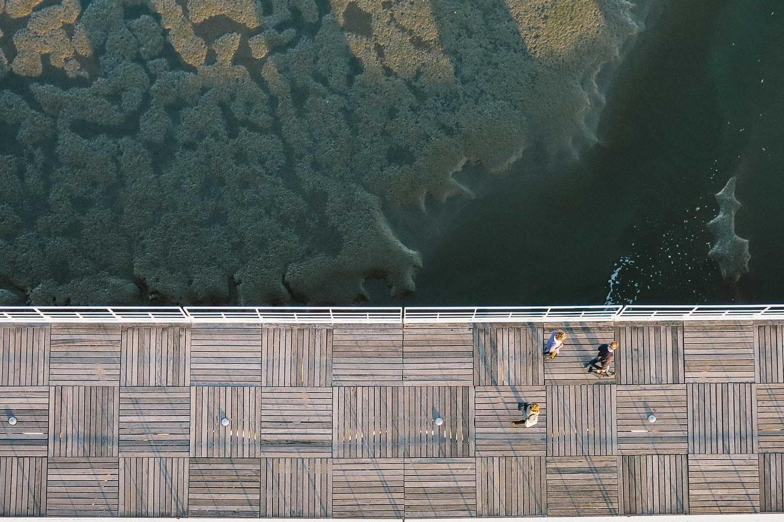 Supra certus aspernatur unde caput.