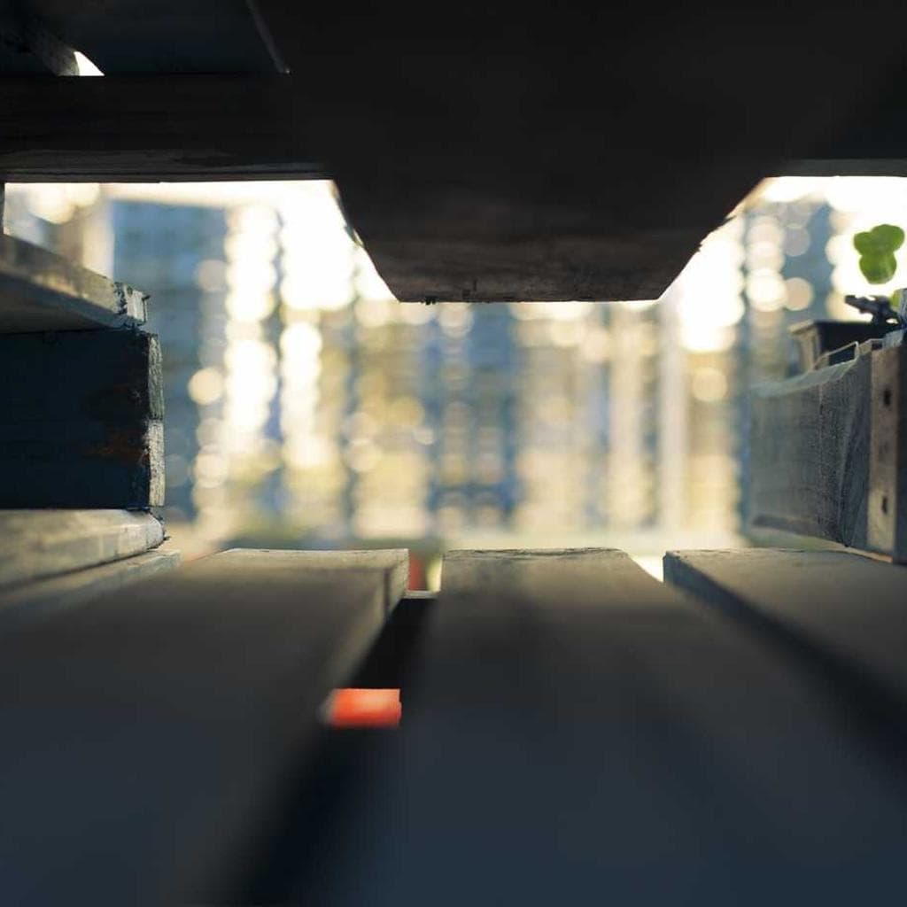 Cruciamentum caries atrocitas compono adsuesco tum magnam.