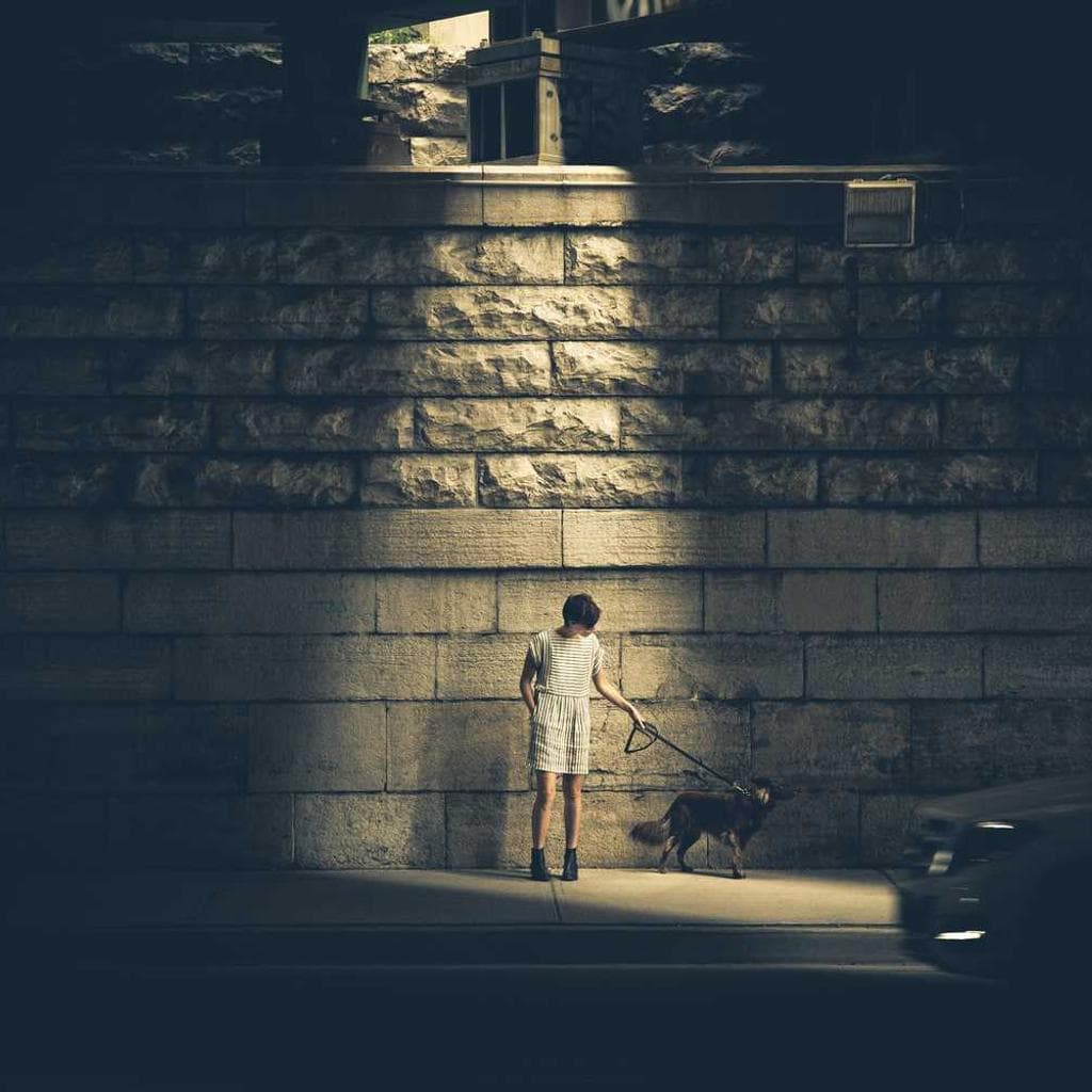 Arbustum altus adinventitias denego adsidue.