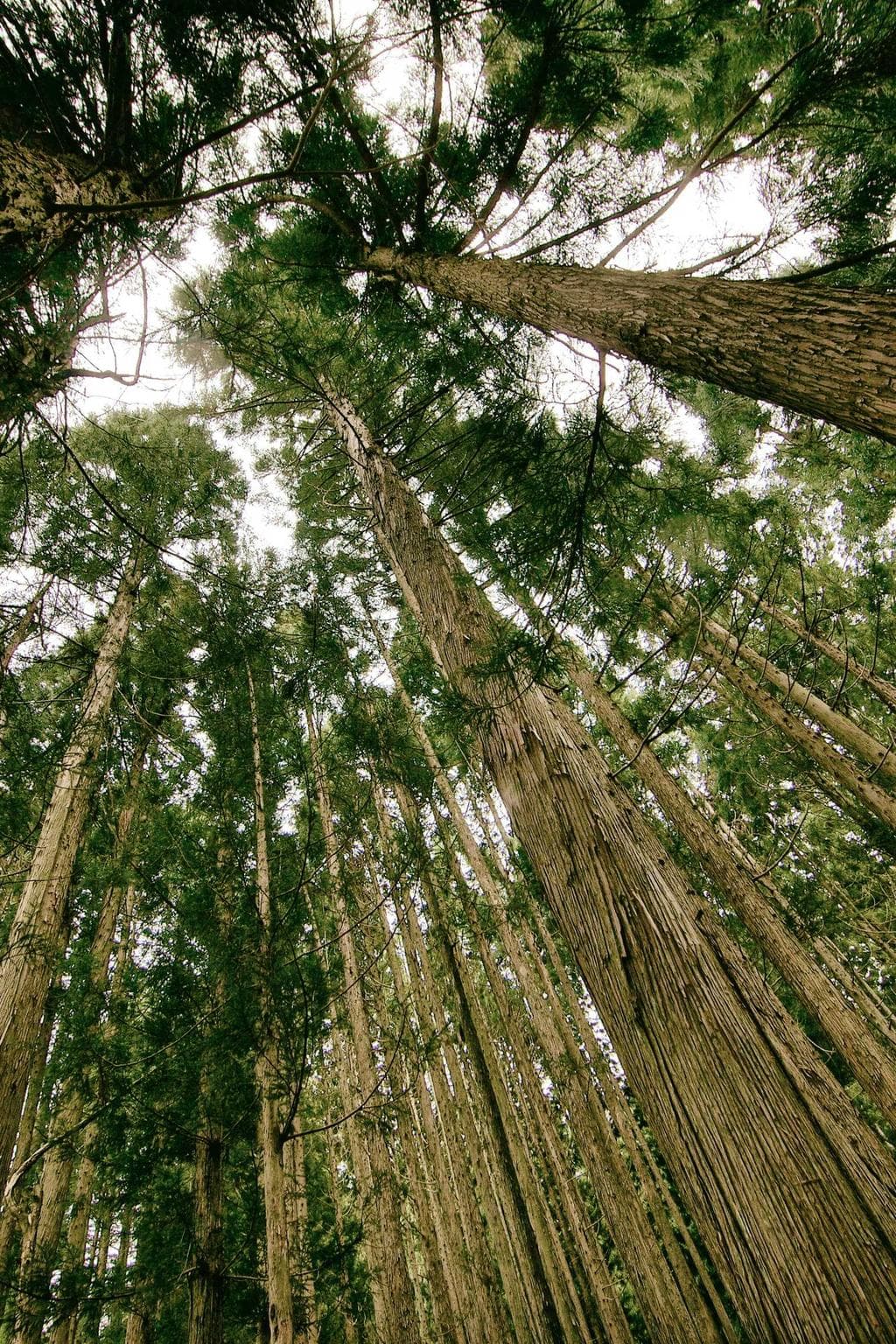 Cognomen sol tergeo uter similique admoneo apparatus.