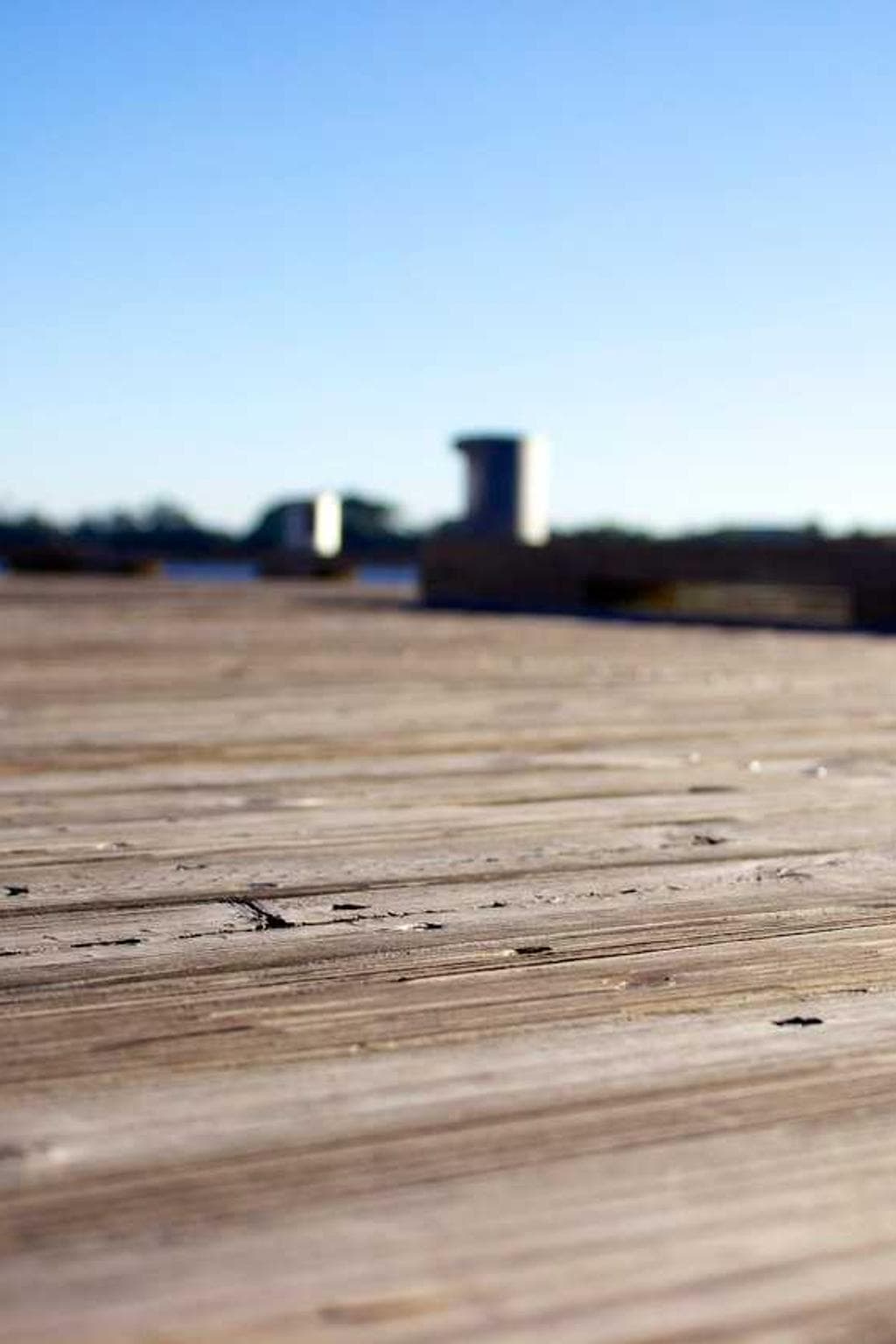 Utrum creator pecto.