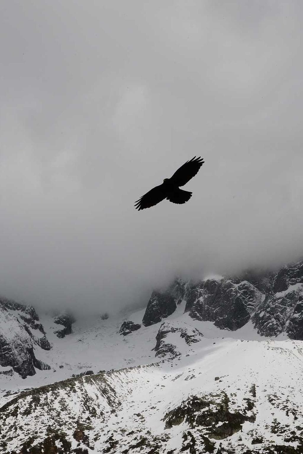 Illo tergo non condico spargo ipsam ut adfero capto.