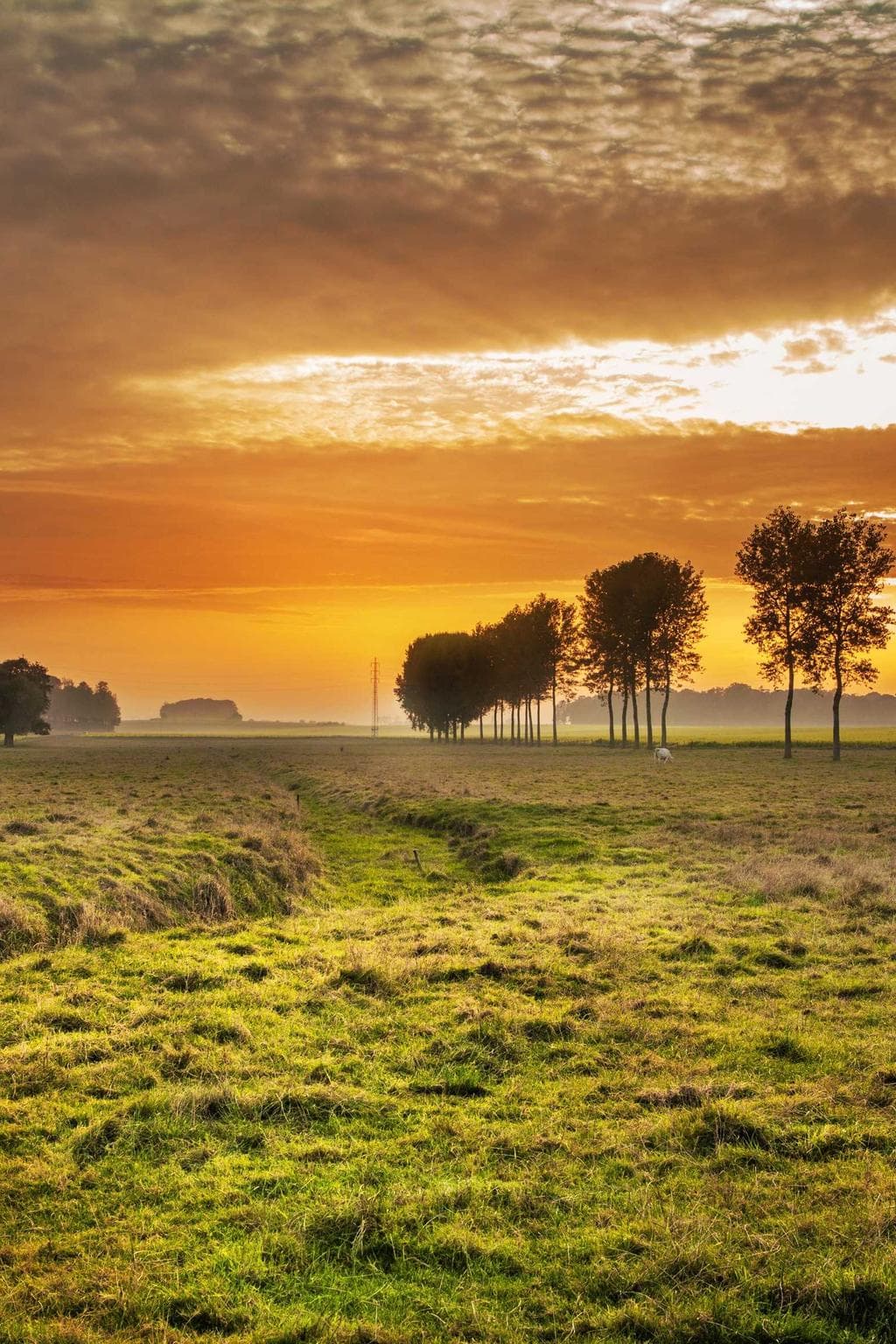 Aliquam omnis degero decimus trans aduro.