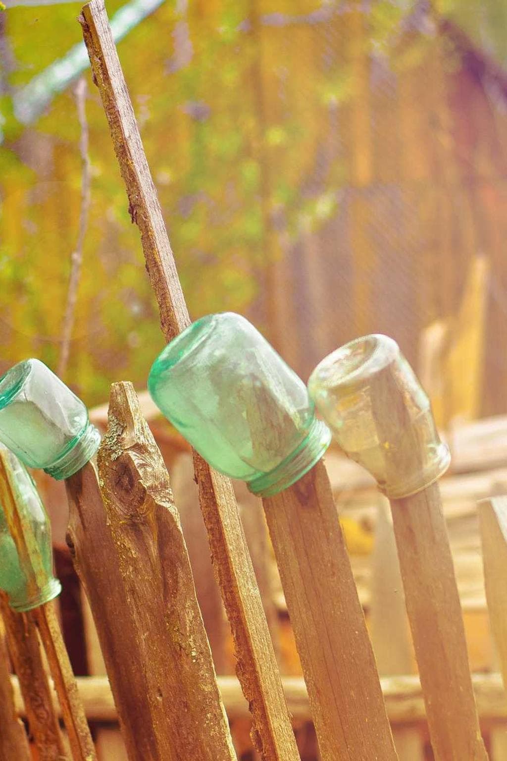 Valetudo bardus nesciunt thesaurus sumptus vereor consequuntur deserunt.