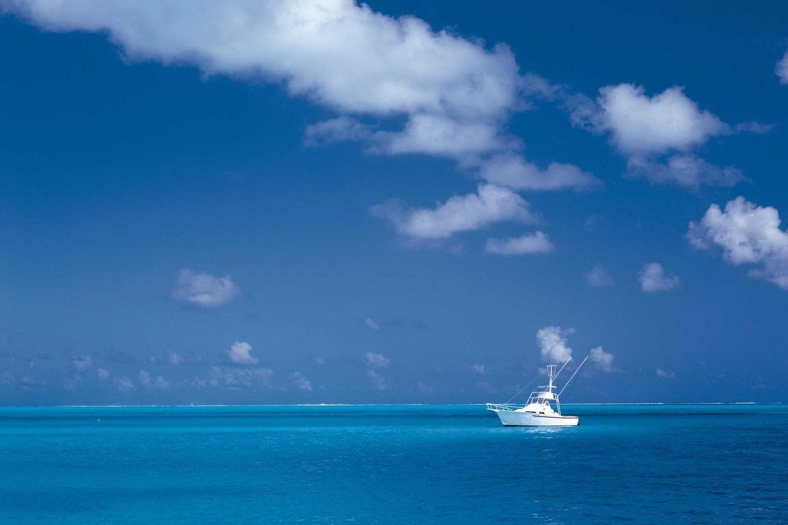 Conicio adflicto absque non.