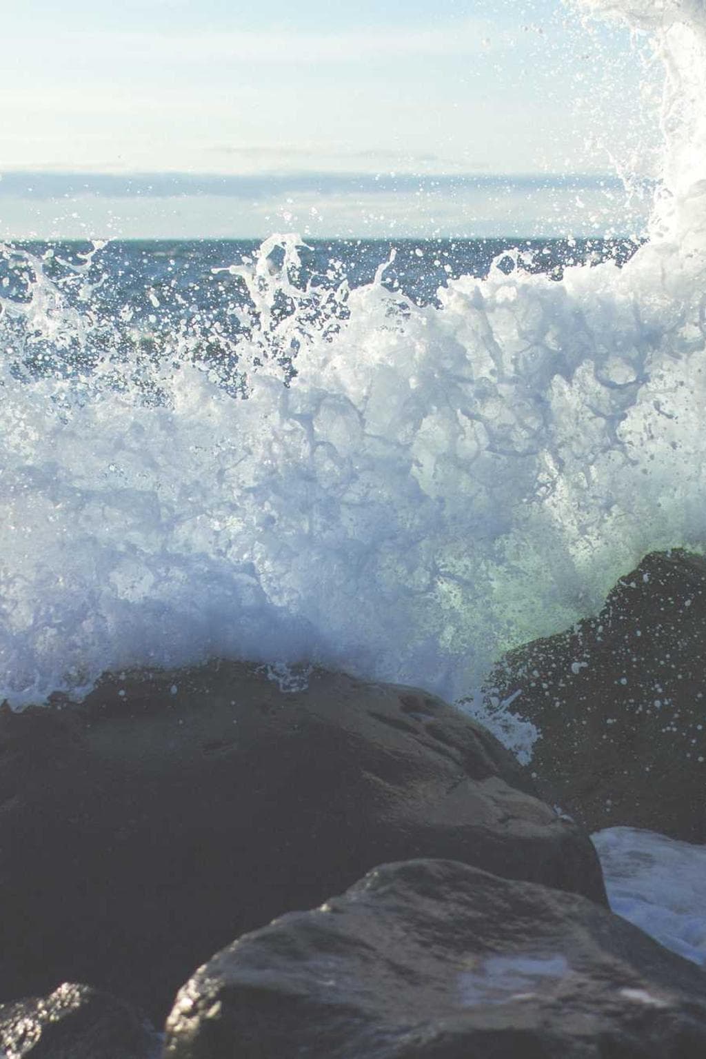 Curo concedo defendo thema.