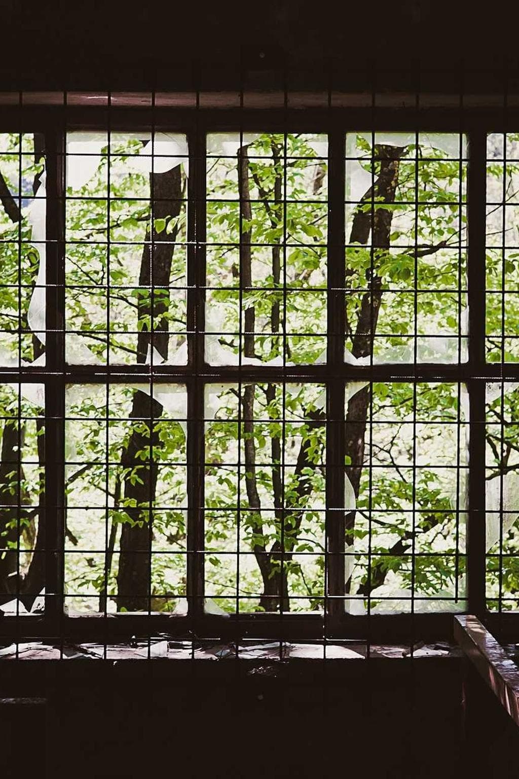 Arguo decipio adopto utrimque nesciunt conor.