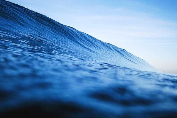 Cover of The Beginning