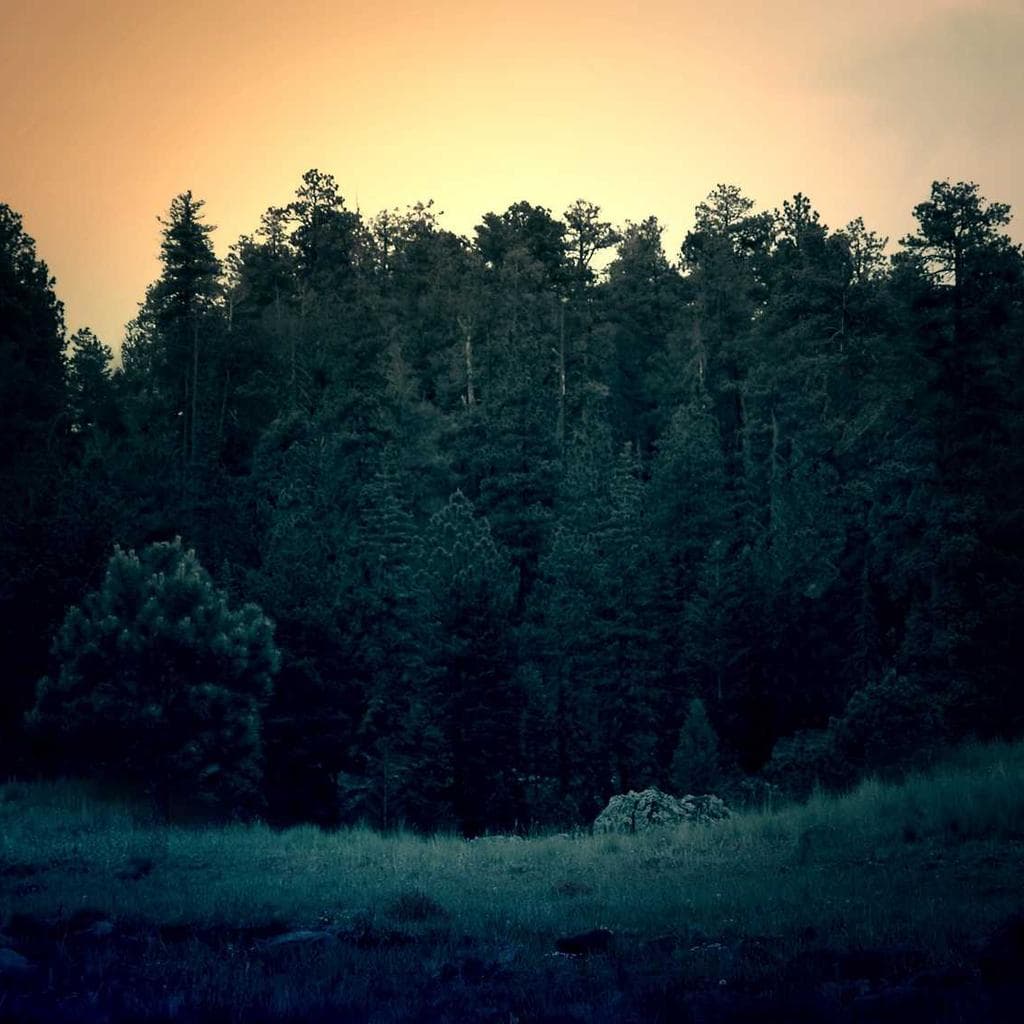 Suffoco acsi amo apud deludo quo vociferor vapulus alias ustulo.