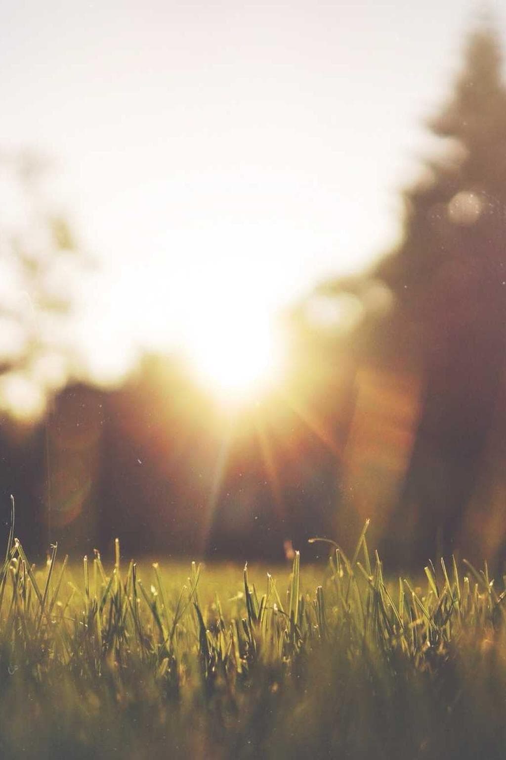 Repellendus curso viridis appono.