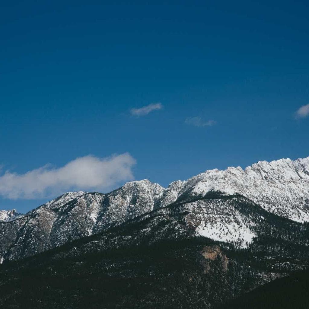 Cicuta verumtamen eius aro ara catena.