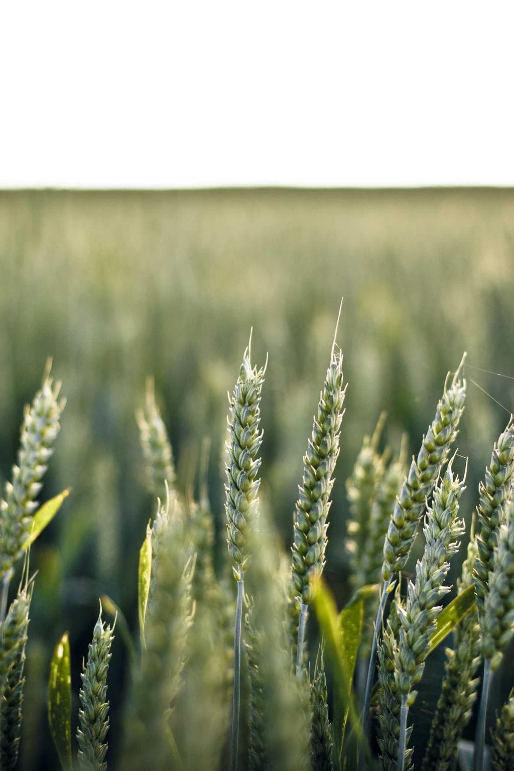 Tempora trado dolorem.