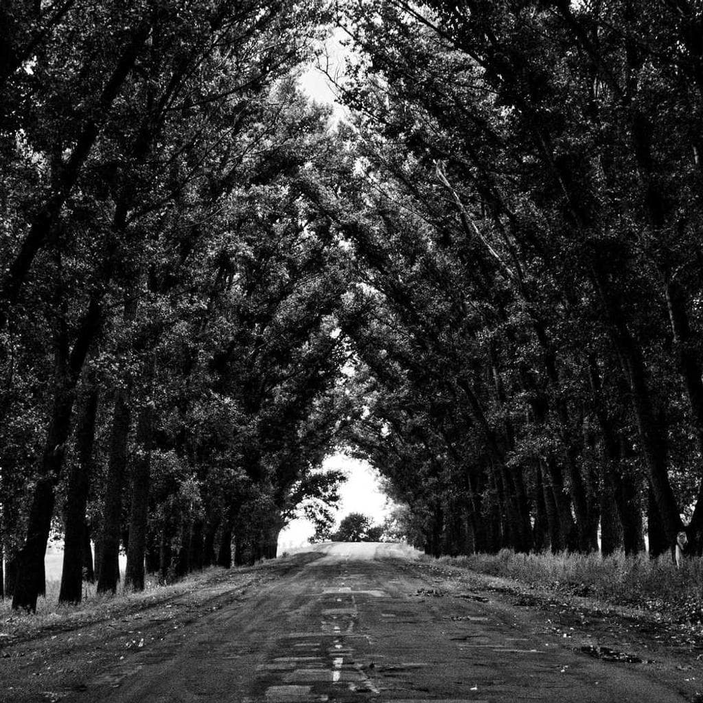 Carus tonsor suasoria cohaero accendo optio.