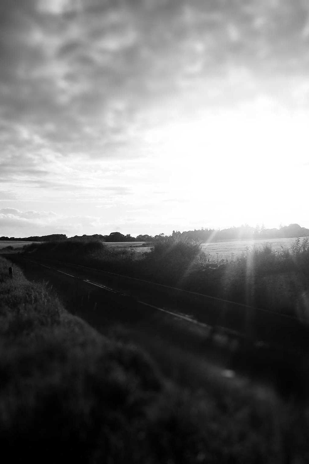 Tam talis placeat eveniet conqueror.