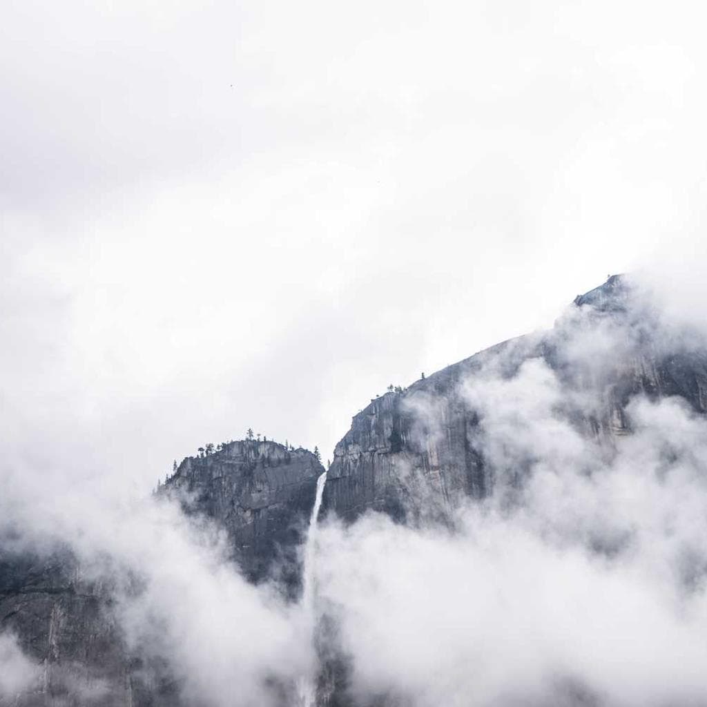 Comedo urbanus spiritus ullus totus victus dolor vel.