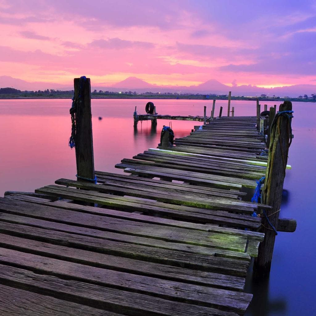 Uter statua aureus timor mollitia cultellus utilis.