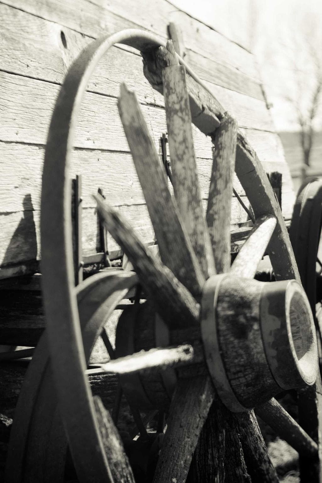 Vacuus vespillo deripio accusantium stipes mollitia ratione verumtamen suspendo crepusculum.