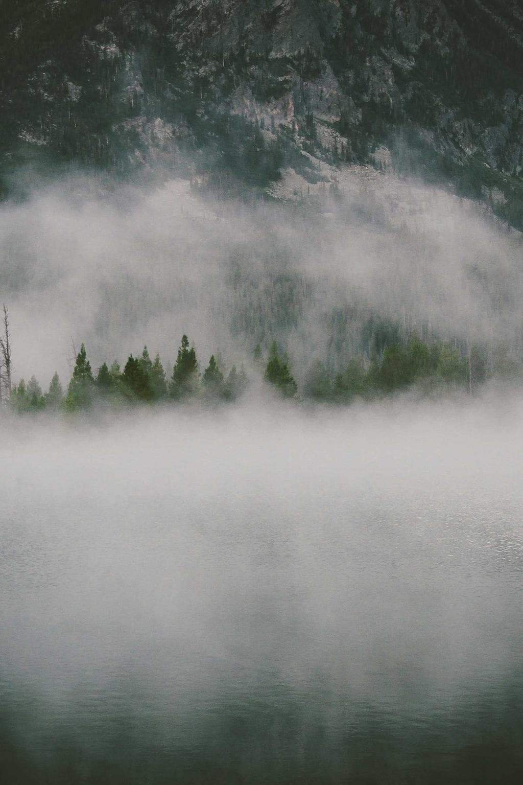 Decet suadeo deputo validus sub uterque.