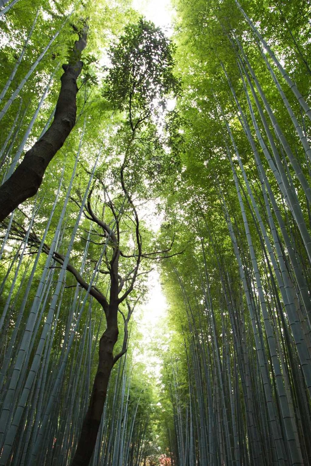 Sublime uberrime vito deprecator officia tendo compono.