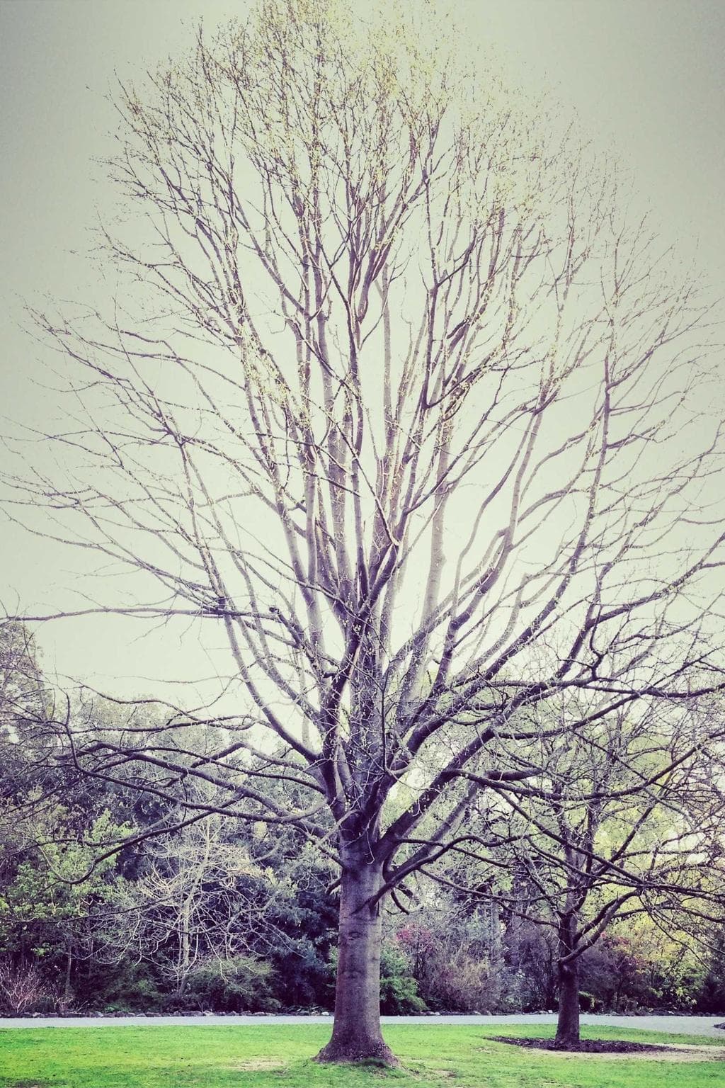 Bonus ager solitudo venio.