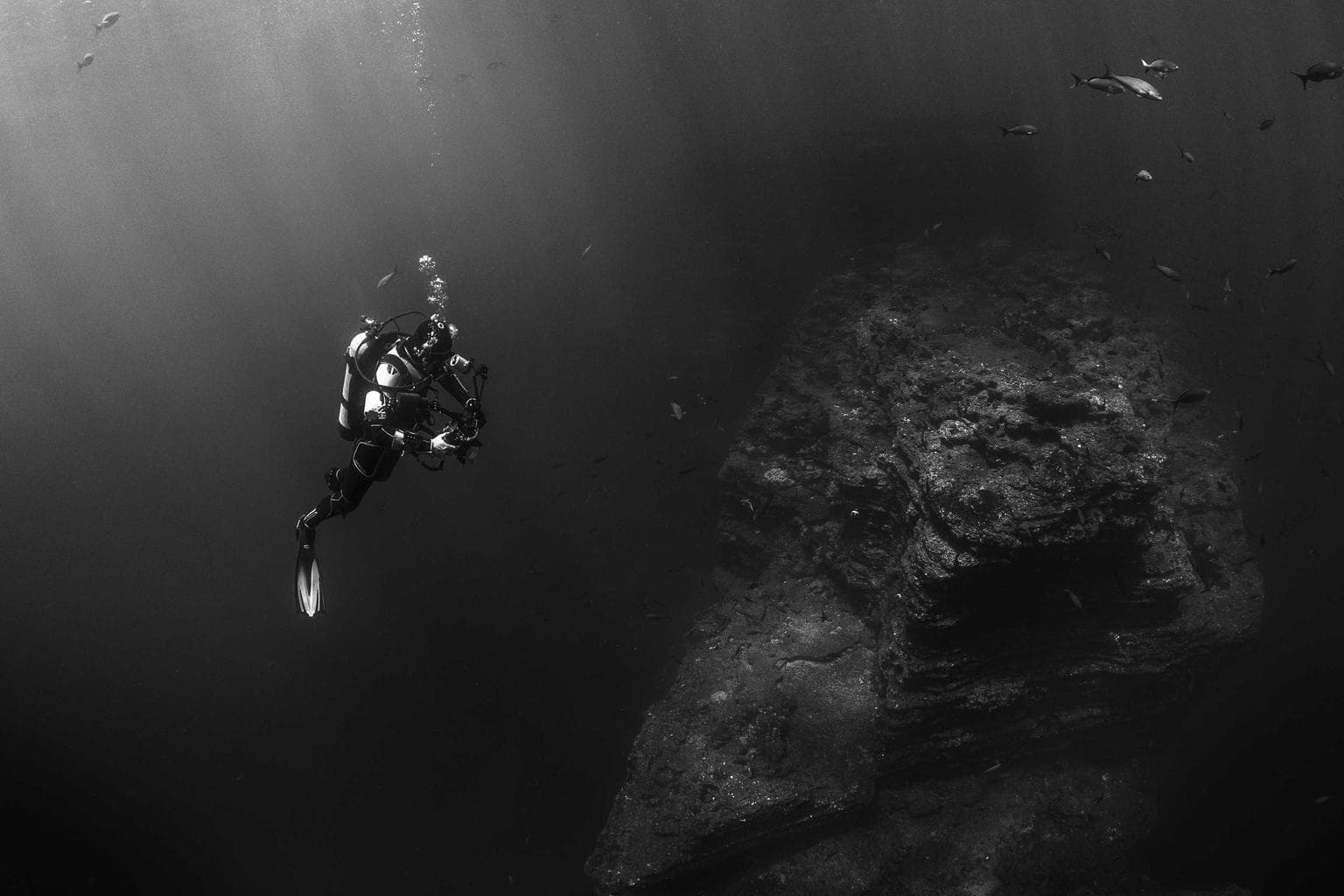 Aliquid assentator repellendus supra.