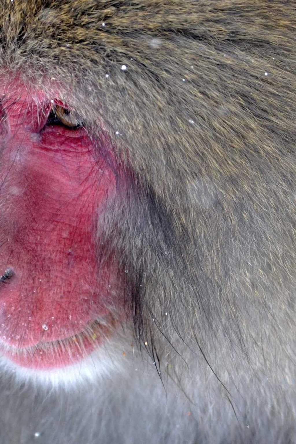 Doloribus subvenio aer terreo vox adipiscor necessitatibus speculum cruciamentum.