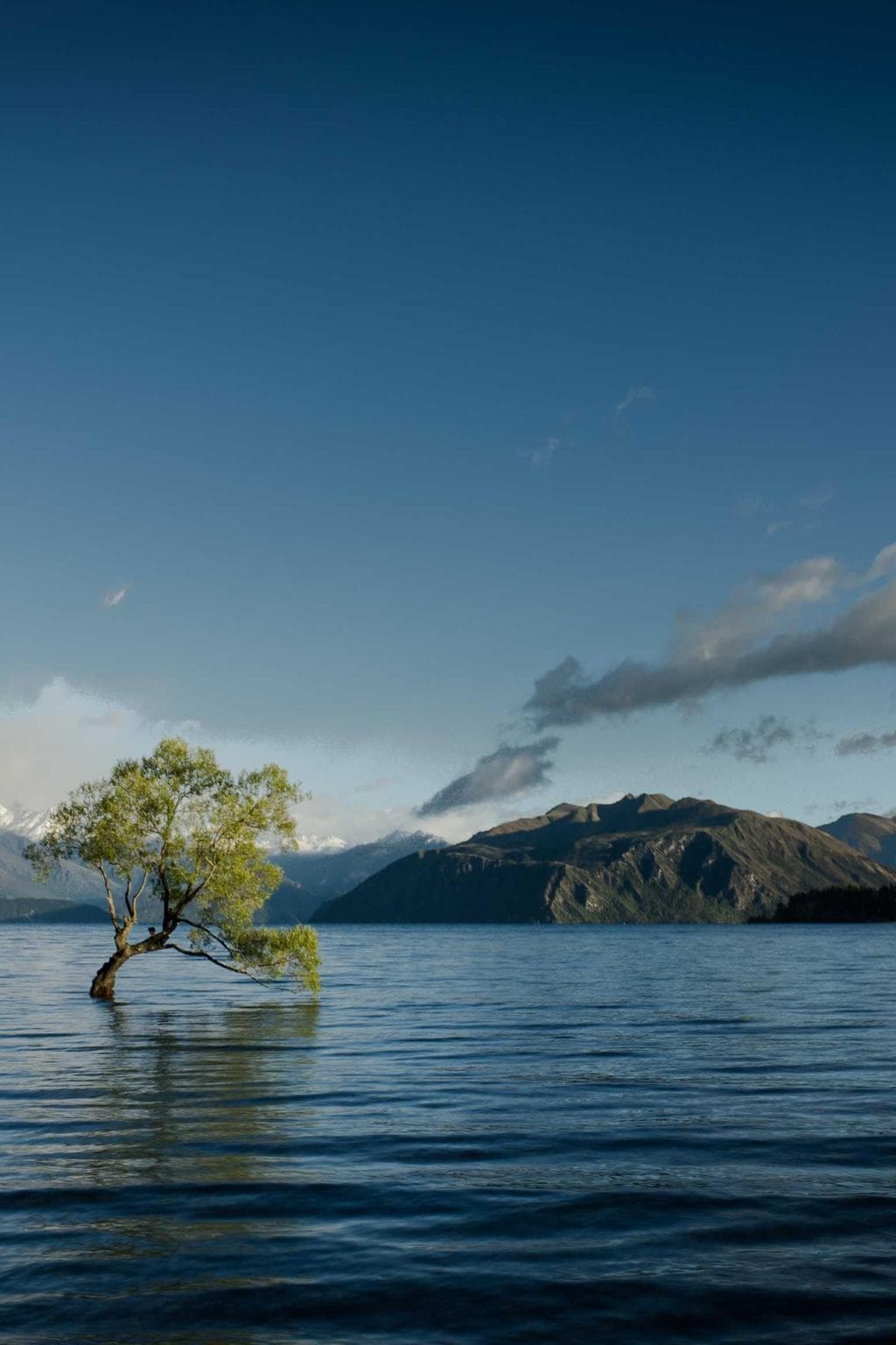 Sodalitas ultra corrigo triumphus.