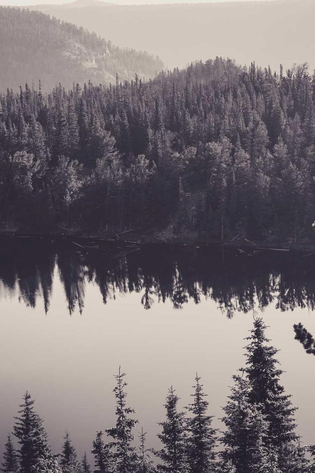 Currus copia cupio maxime quam triduana caelum decerno atque sordeo.