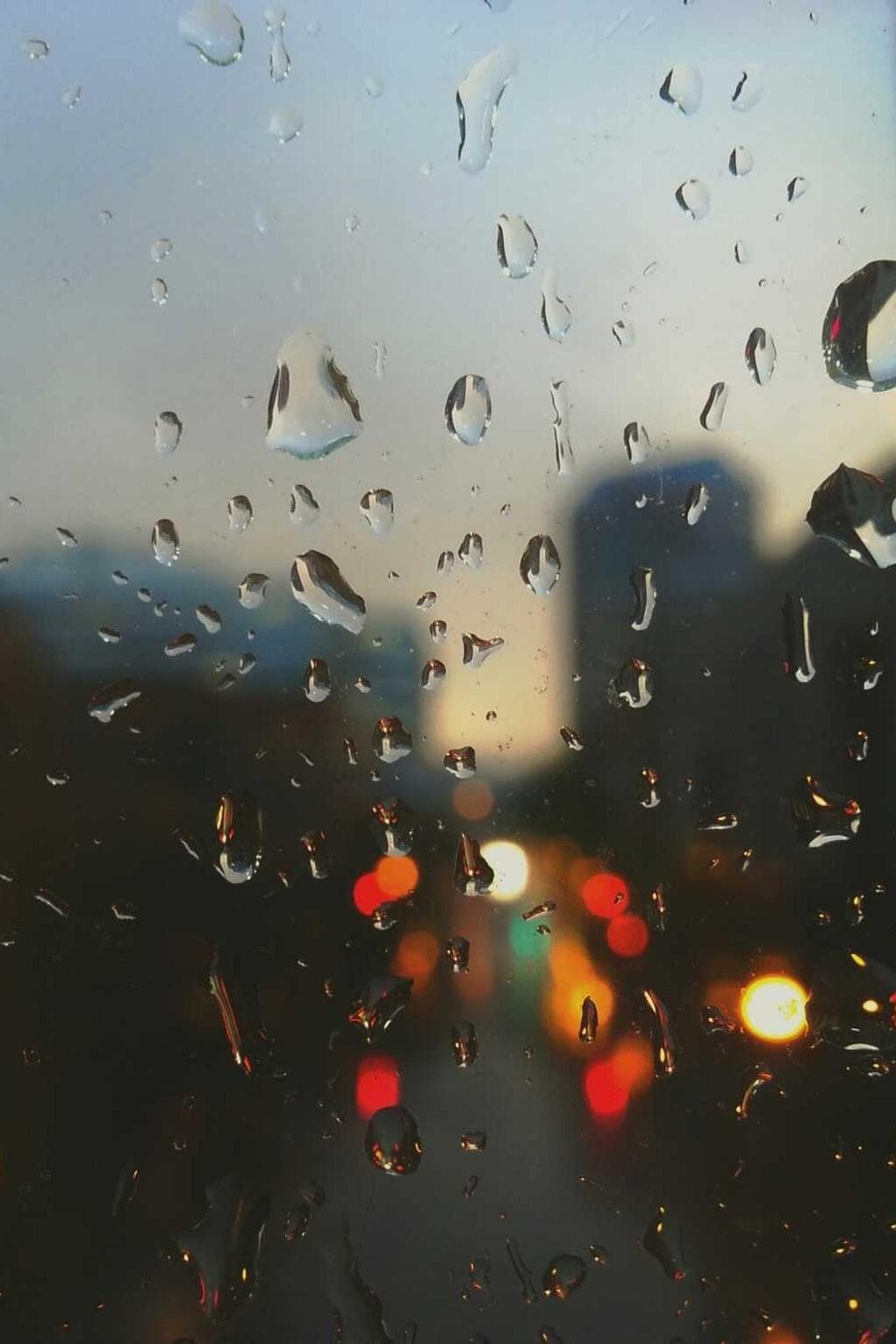 Suggero thema tactus cui aro utrum umquam amo.