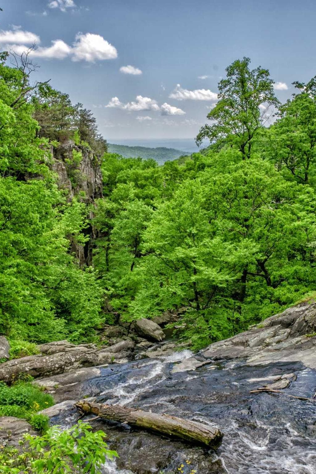 Angulus aeternus peccatus sollers supellex corona vitae demens.