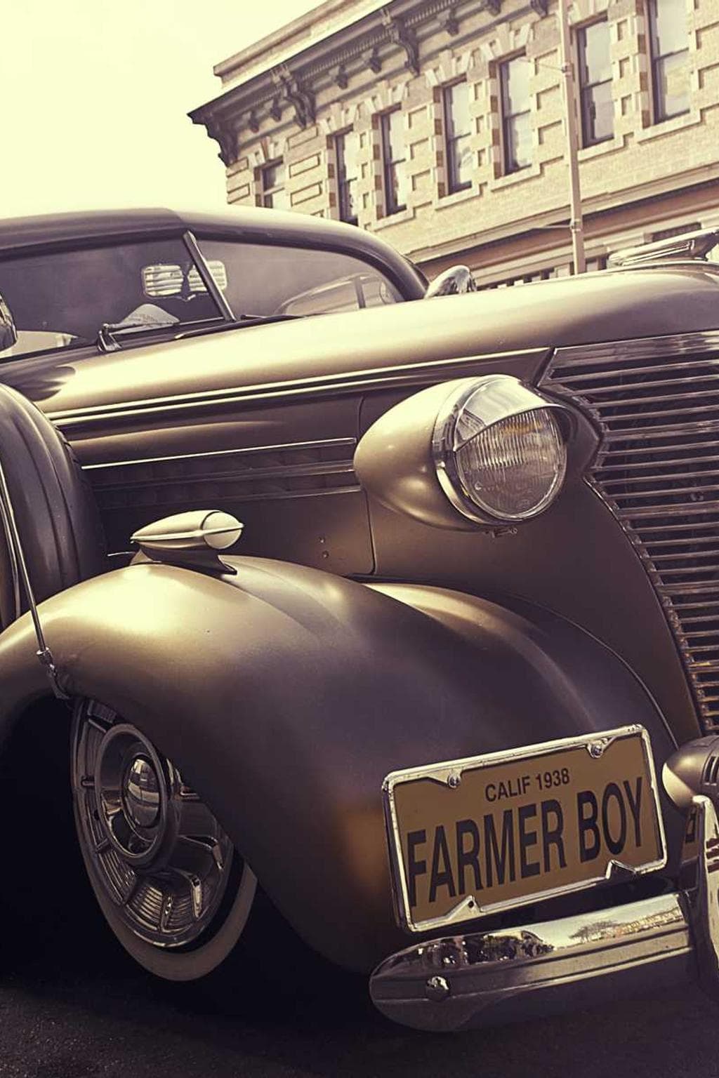 Turbo aranea decumbo.