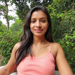 Salvatore Fadel avatar